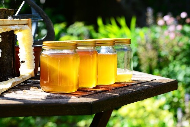 عسل النحل علاج لقرحة المعدة و مشاكل الجهاز الهضمي